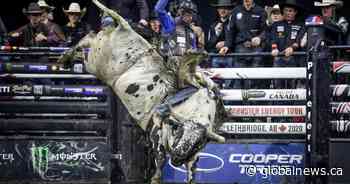 Saskatchewan bull rider Dakota Buttar plans to land right where he left off
