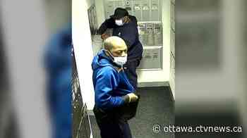 Ottawa Police hunt for suspects in Centretown mail thefts - CTV News Ottawa