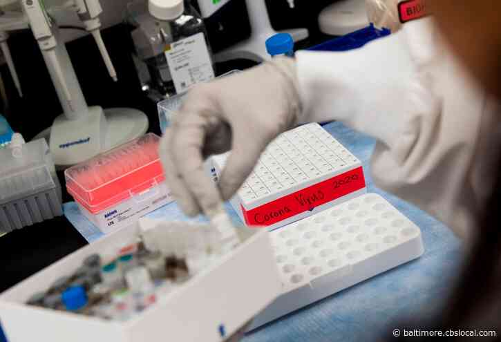 Coronavirus In Maryland: Over 800 New Cases Reported, 11 Deaths In 24 Hours
