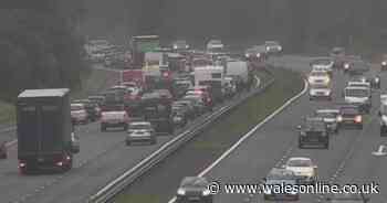 Live updates as multiple vehicle M4 crash causes major disruption