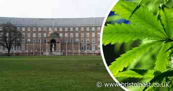 'Hemp rebellion' protest taking place on College Green