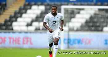 Swansea City ratings as Marc Guehi, Andre Ayew and others look the part again