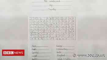 Queen wordsearch boy makes Test Match Special version
