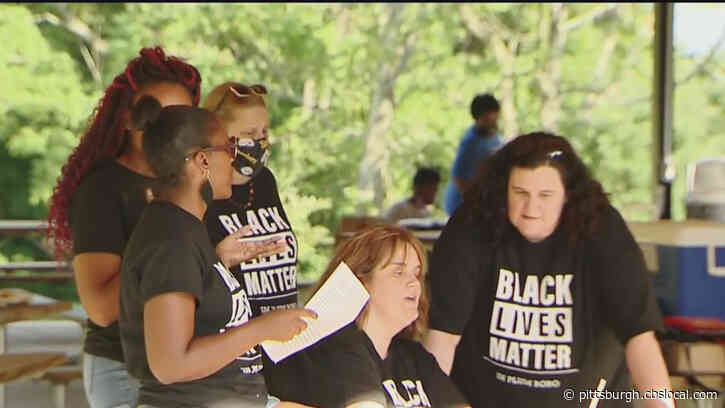 Small Group Gathered At Boyce Park, Seeking To Raise Awareness About People Of Color In Plum Borough