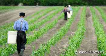 Swift Current grapples with coronavirus, stigma as new hot spot flares