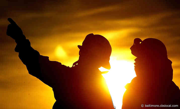 Plumpton Park Zoo In Cecil County Closed Due To Early Morning Fire