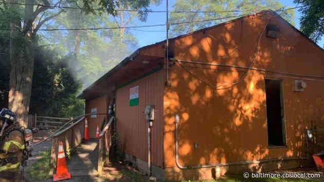 6 Animals Killed At Plumpton Park Zoo In Cecil County After Early Morning Fire