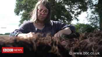 Coronavirus: Sheep wool 'barely worth selling any more'