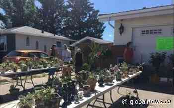 Coaldale family plant fundraiser garners international support for autistic son