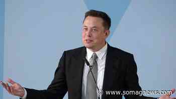 Elon Musk's Tweet Raises Dogecoin (DOGE) Price - Somag News