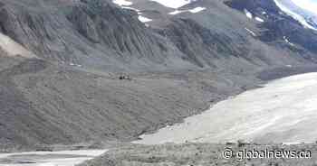 3 dead after motor coach rollover near Jasper: RCMP