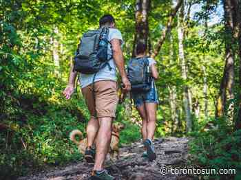 ASK AMY: Contact with friendly dog could be poisonous - Toronto Sun