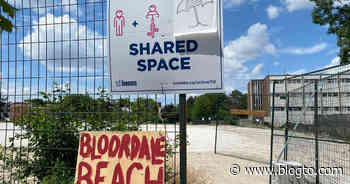 Bloordale Beach is Toronto's only beach without a body of water attached - blogTO