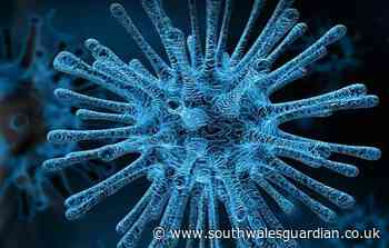 Coronavirus: no new cases recorded in Hywel Dda area today - South Wales Guardian