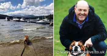 Dog owner devastated as beloved pet dies after ingesting toxic blue green algae