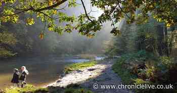 5 beautiful walks to explore to your heart's content