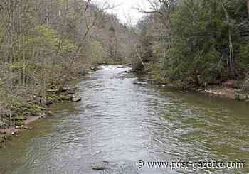 Some of state's waterways reported improving