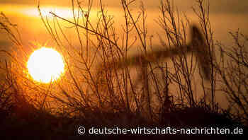 Weltweite Ölförderung steuert auf schwersten Einbruch seit der Jahrtausendwende zu