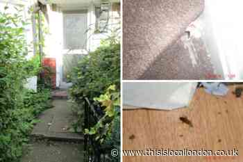 Council finds rat and cockroach infestation at home in Barnet
