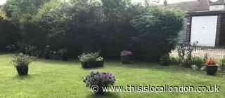 Send us pictures of gardens in the Epping Forest area