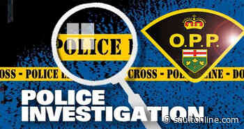 Seven persons charged with running commercial sex trade organization
