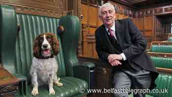 ‘Brave’ police dog given Speaker’s chair during House of Commons sweep