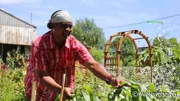 This Indigenous gardener is sharing his techniques to grow the next generation of green thumbs