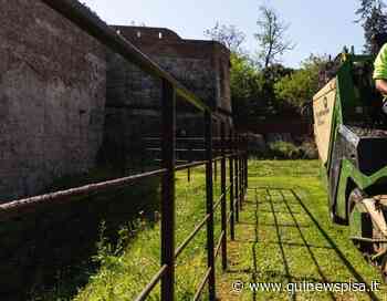 Taglio dell'erba, si riparte con dodici squadre - Qui News Pisa