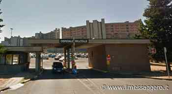 Ospedale di Belcolle: sfalciano l'erba e trovano un teschio, indaga la polizia - Il Messaggero