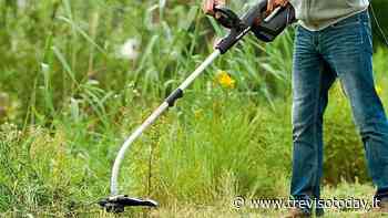 Cade in una canaletta mentre taglia l'erba: muore annegato - TrevisoToday