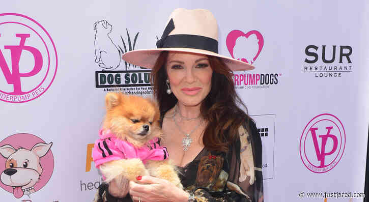 Lisa Vanderpump's 'Vanderpump Dogs' Gets Picked Up by Peacock!