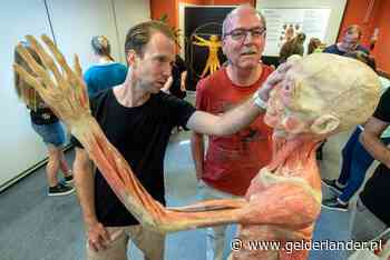 Is dat nou een carnavalspak of echt een 
verkreukelde mensenhuid?