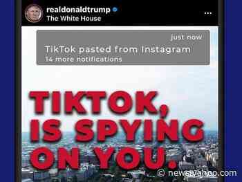 The Trump campaign is running several anti-TikTok ads on Facebook and Instagram accusing the Chinese app of 'spying on you'