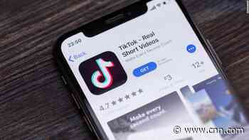 Trump campaign pushes Facebook ads bashing TikTok