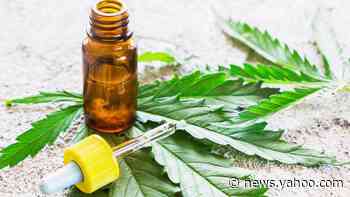 Could cannabis be a possible treatment for COVID-19?