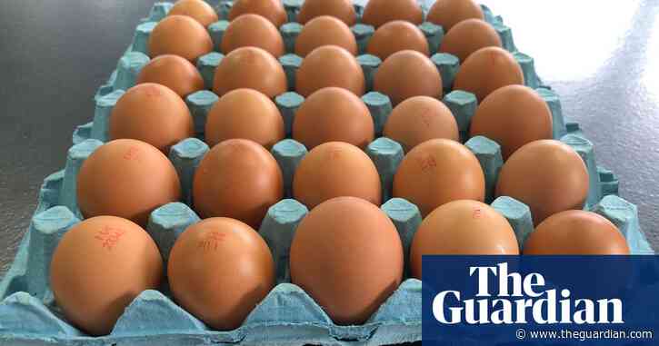 Half a million more small-sized eggs to go on sale in UK