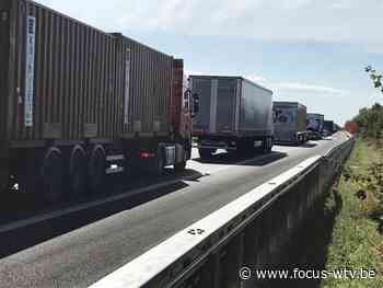 Lange file richting kust na ongeval in Beernem - Focus en WTV