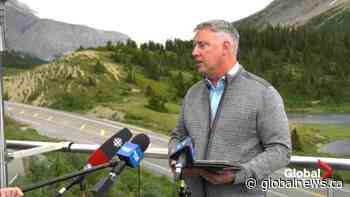 Tour company in crash says this is first incident involving fatality in 39 years