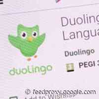 Who’s Making Money Off Of Cheap Language Instruction?