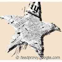 Why The US Constitution Doesn’t Work Without Local News