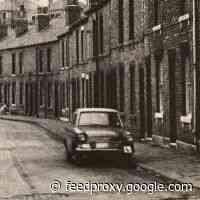 How I Learned To Be An Art Critic