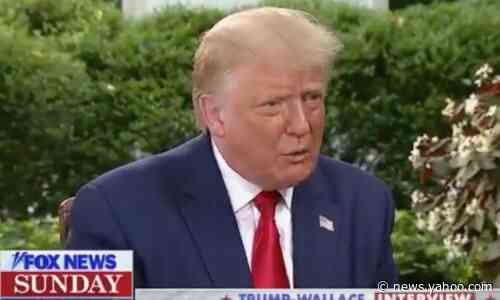 Donald Trump v Fox News Sunday: extraordinary moments from a wild interview