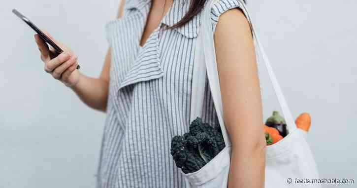 20+ apps and websites to help you live a more sustainable life