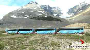 At least 3 killed, several injured in Alberta tour bus rollover