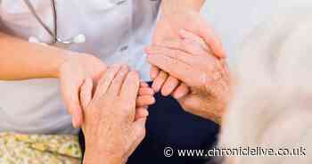 These NHS heroes will help terminally ill people in Gateshead have the best end of life possible - Chronicle Live