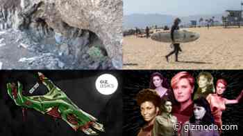 A 14,000-Year-Old Human Poop and the Best Human Brain Alternative: Best Gizmodo Stories of the Week