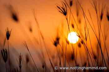Excessive Heat Watch issued for Baltimore area on Monday - nottinghammd.com
