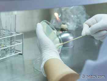 Baltimore, MD Coronavirus Updates & News For July 19 - Patch.com