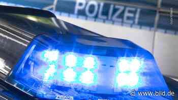 Unfall auf A 28 bei Bad Zwischenahn - Biker-Crash mit Tempo 170 - BILD