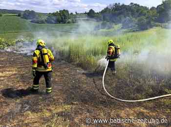 Wehr löscht Flächenbrand bei Wagenstadt - Herbolzheim - Badische Zeitung